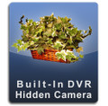 Silk Plant DVR Series Hidden Nanny Camera  -  PLANT-DVR